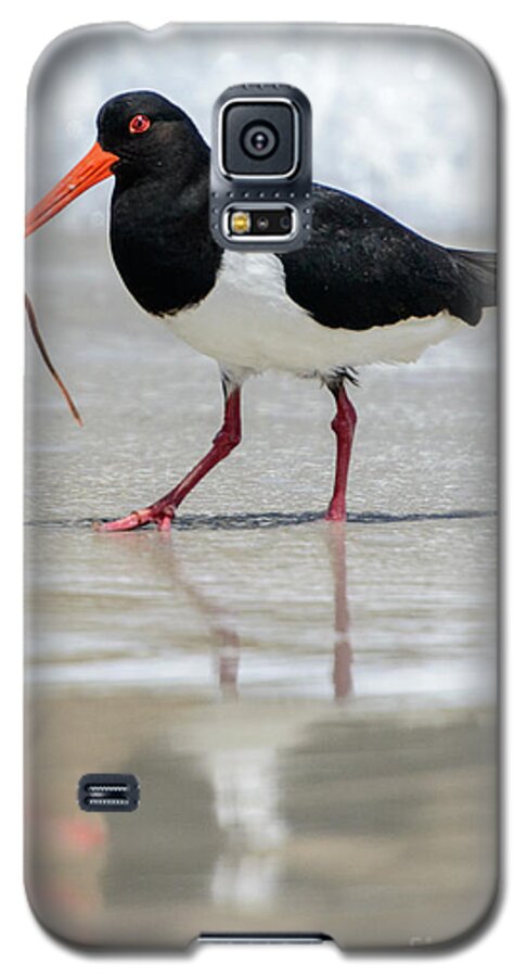 National Park Galaxy S5 Case featuring the photograph Oystercatcher 03 by Werner Padarin
