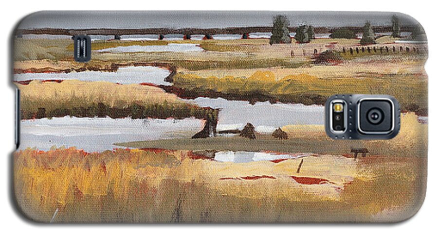 Pack Galaxy S5 Case featuring the painting Pack River by Robert Bissett