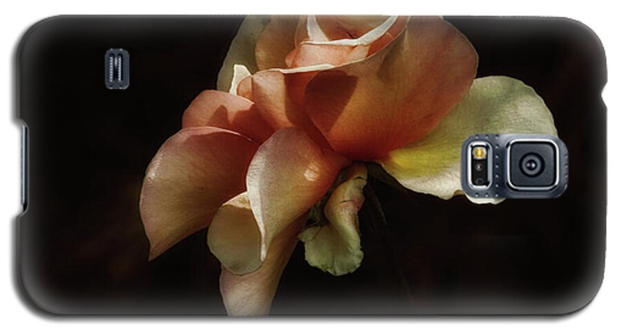 Roses Galaxy S5 Case featuring the photograph Painted Roses by Elaine Malott