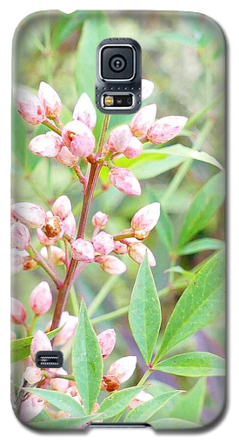 Photography Galaxy S5 Case featuring the photograph Pale Powder Pink Plant by Ivana Westin
