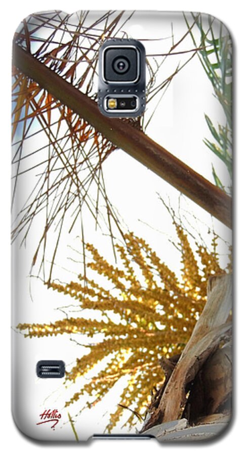 Tree Galaxy S5 Case featuring the photograph Palm sky view by Linda Hollis