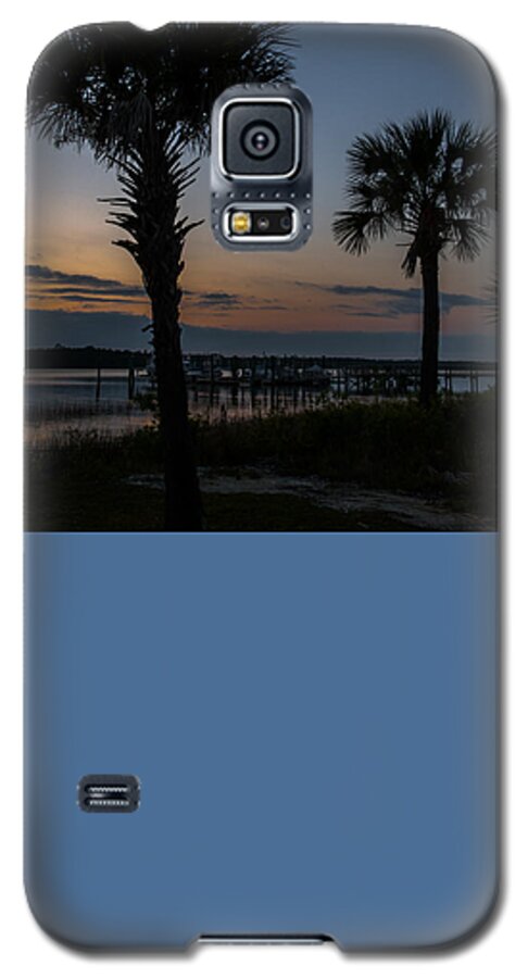Sunset Galaxy S5 Case featuring the photograph Palmetto Sky by Dale Powell