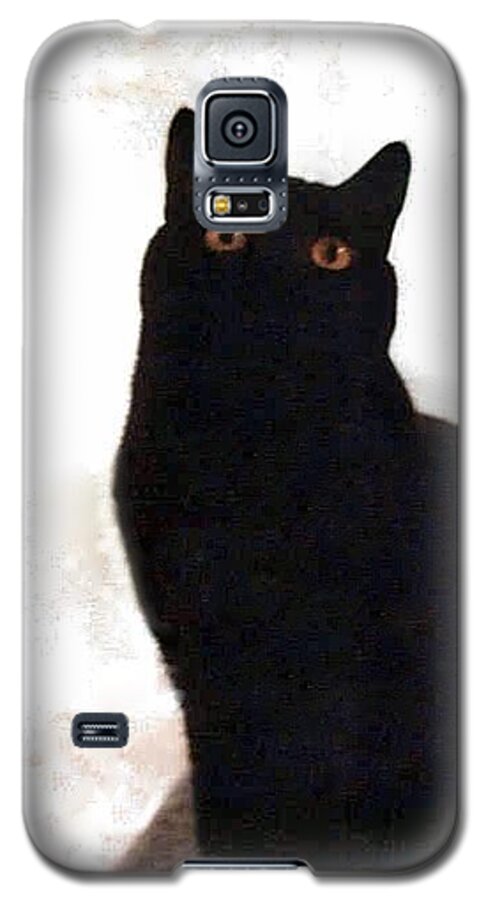 Cats Galaxy S5 Case featuring the photograph Panther the British Shorthair Cat by Judy Kennedy