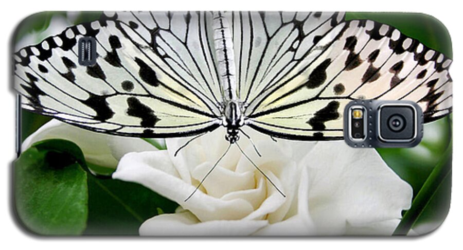 Paperkite Galaxy S5 Case featuring the photograph Paperkite on Gardenia by Kristin Elmquist