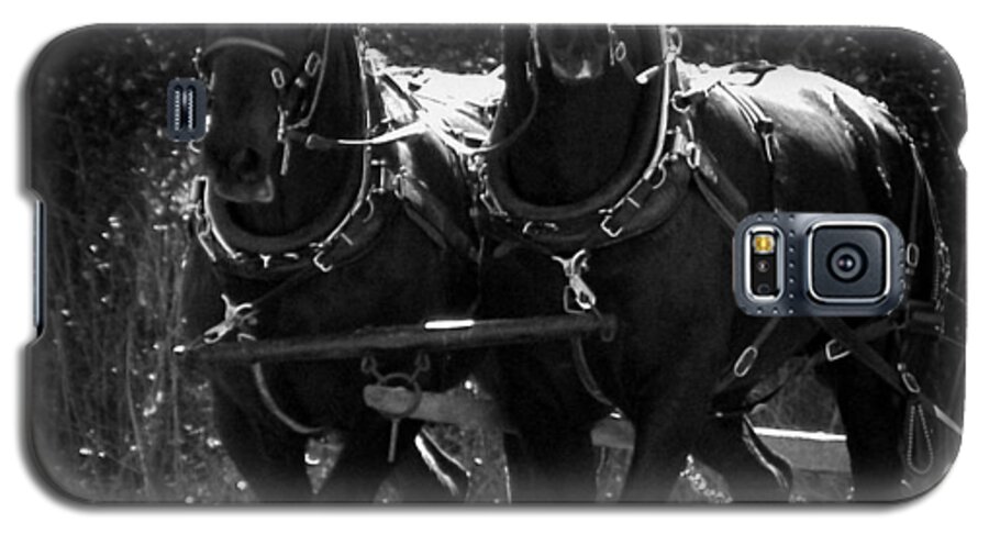 Draft Horses Galaxy S5 Case featuring the photograph Partners in Strength 1 by Sheri McLeroy