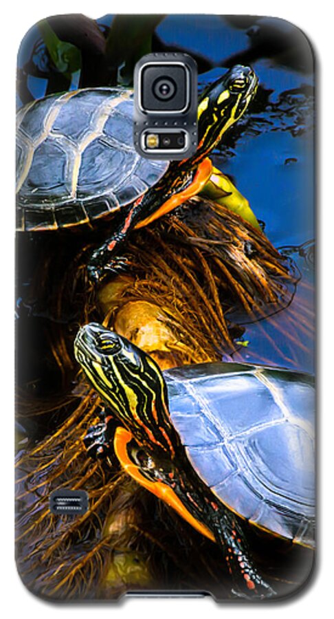 Reptile Galaxy S5 Case featuring the photograph Passing the day with a friend by Bob Orsillo
