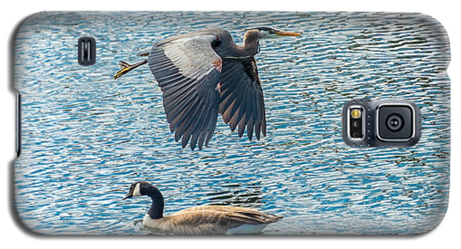 Goose Galaxy S5 Case featuring the photograph Passing Waterfowl by Jerry Cahill