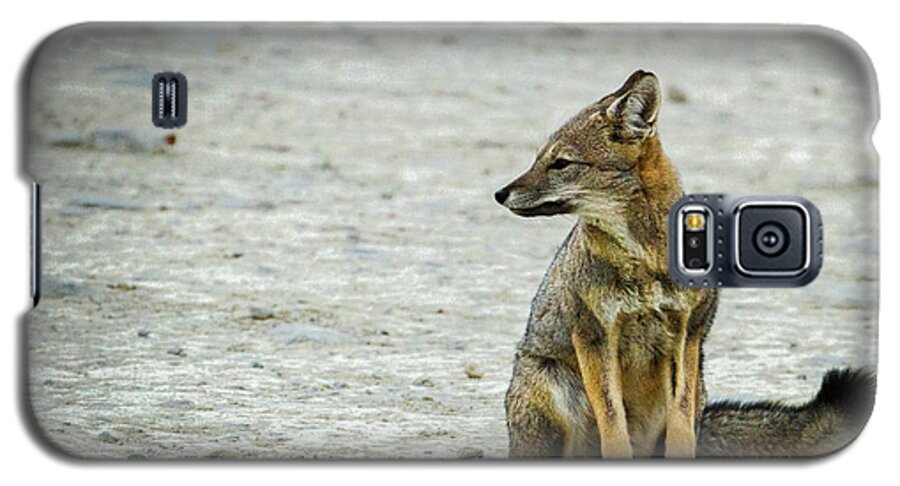 Argentina Galaxy S5 Case featuring the photograph Patagonia Fox - Argentina by Stuart Litoff
