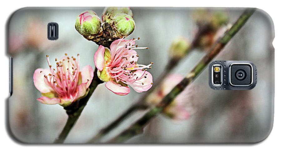 Peach Galaxy S5 Case featuring the photograph Peach Blossom by Kristin Elmquist