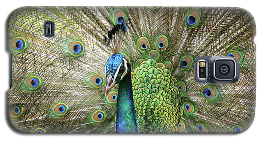 Peacock Galaxy S5 Case featuring the photograph Peacock Indian Blue by Sharon Mau
