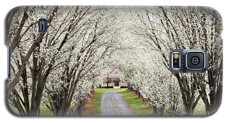 Bradford Pear Trees Galaxy S5 Case featuring the photograph Pear Tree Lane by Benanne Stiens