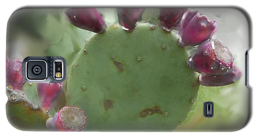 Cactus Galaxy S5 Case featuring the photograph Pear Tunas by Cynthia Westbrook