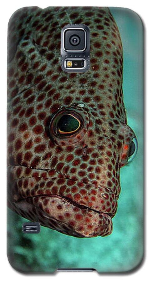Jean Noren Galaxy S5 Case featuring the photograph Peeking Coney by Jean Noren