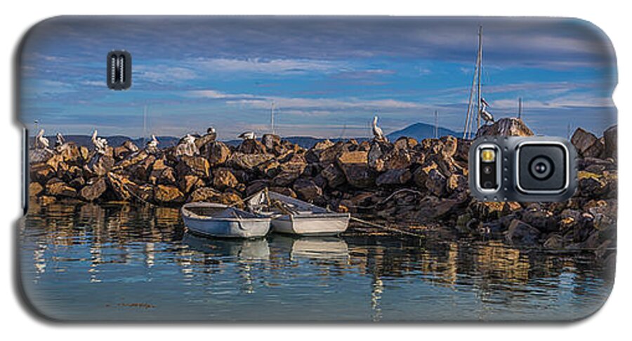 Pelican Galaxy S5 Case featuring the photograph Pelicans at Eden Wharf by Racheal Christian