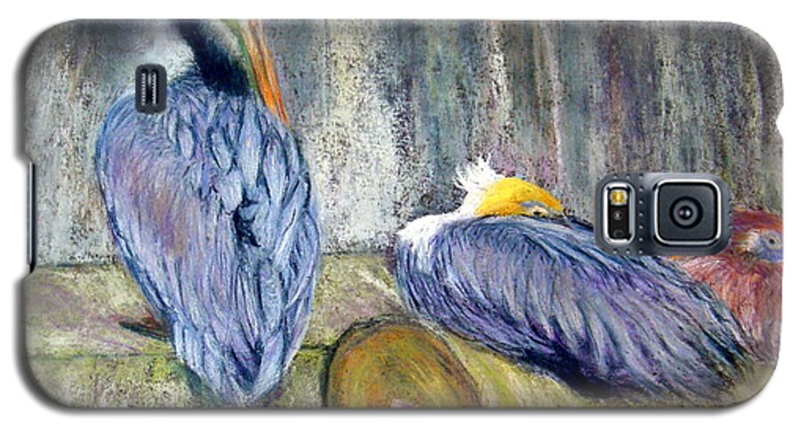 Pelicans Galaxy S5 Case featuring the pastel Peruvian Pelicans Three Pastel by Antonia Citrino