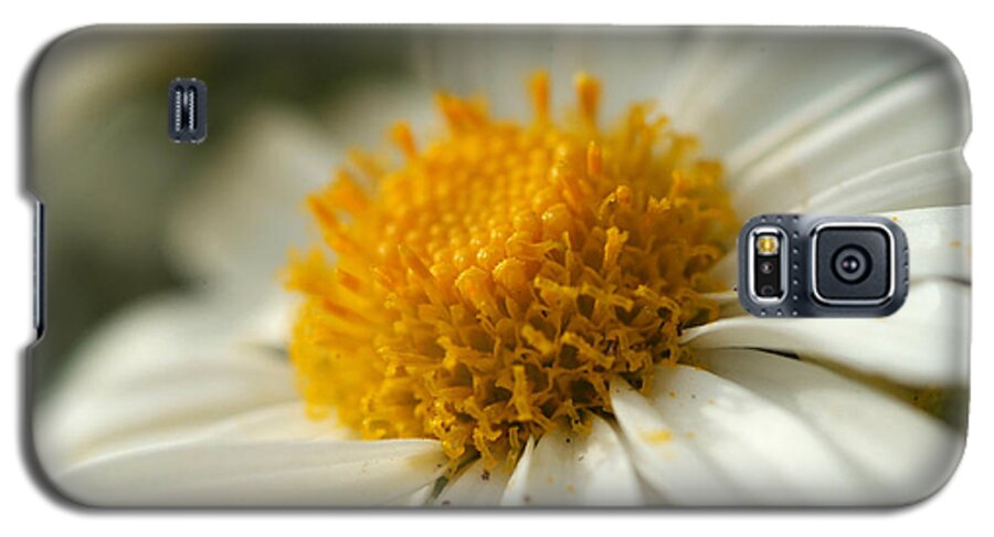 Flower Galaxy S5 Case featuring the photograph Petals and Pollen by Michael McGowan