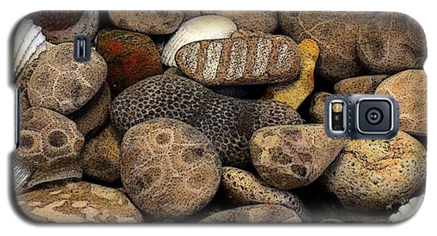 Stone Galaxy S5 Case featuring the photograph Petoskey Stones with Shells l by Michelle Calkins