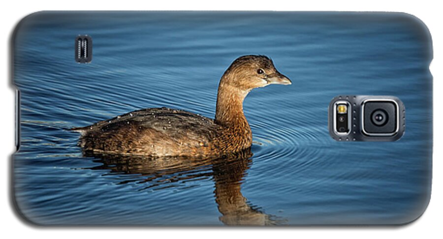 Pied Billed Grebe Galaxy S5 Case featuring the photograph Pied Billed Grebe by Randy Hall