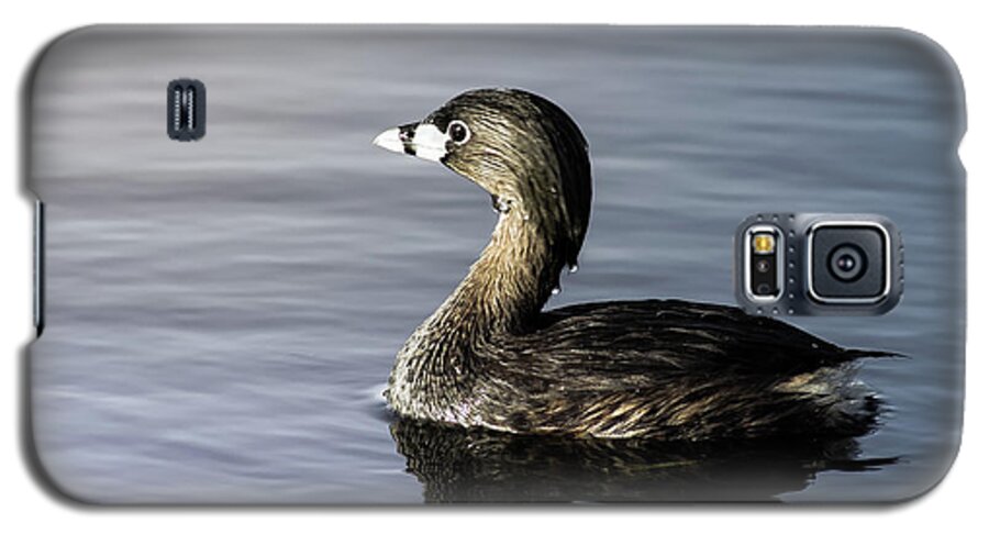 Nature Galaxy S5 Case featuring the photograph Pied-Billed Grebe by Robert Frederick