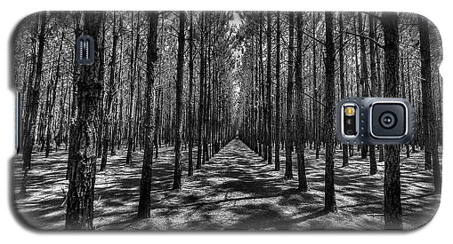 Pines Galaxy S5 Case featuring the photograph Pine Plantation Wide by Gulf Coast Aerials -