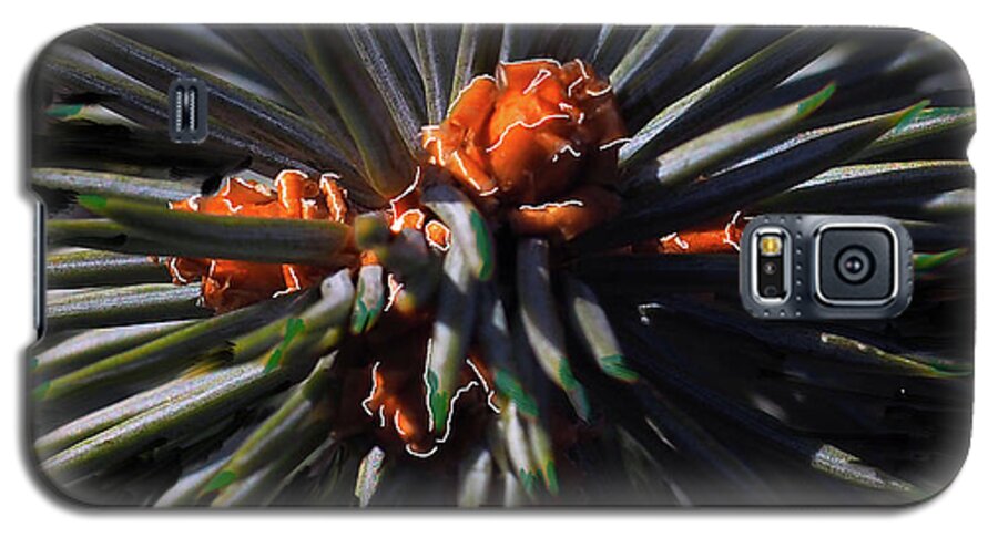 Blue Galaxy S5 Case featuring the digital art Pine Rose by Leon DeVose