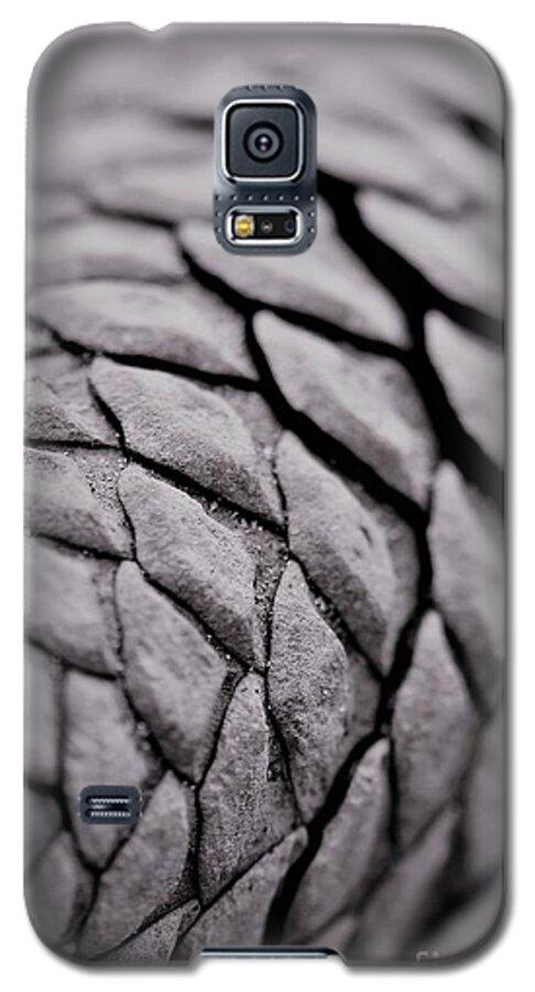 Pine Cone Galaxy S5 Case featuring the photograph Pinecone Patterns by Tracey Lee Cassin