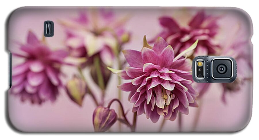 Colorful Galaxy S5 Case featuring the photograph Pink columbines by Jaroslaw Blaminsky