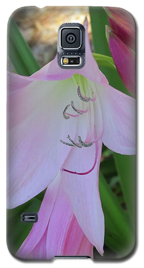 Flowers Galaxy S5 Case featuring the photograph Pink Crinum Lily by Judith Lauter