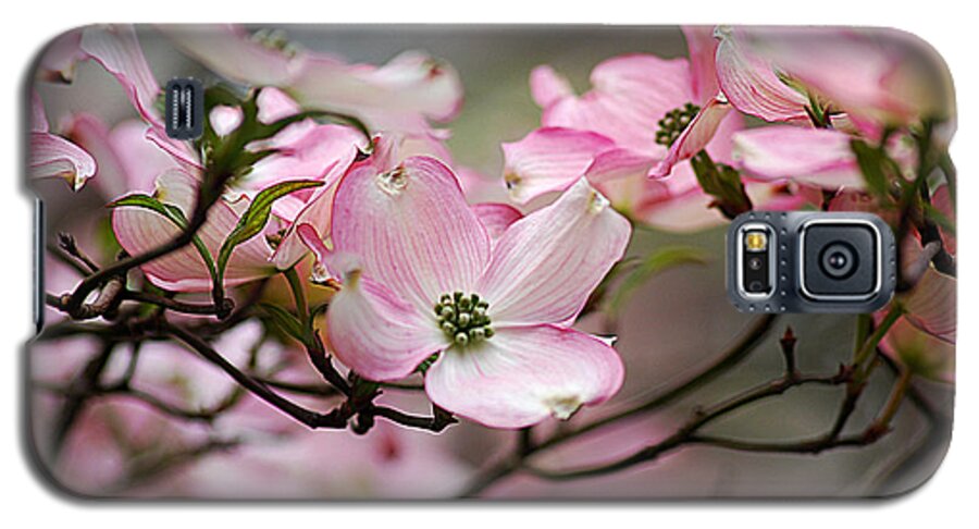 Photograph Galaxy S5 Case featuring the photograph Pink Dogwood 20120415_68a by Tina Hopkins