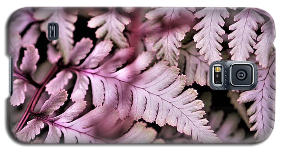 Pink Galaxy S5 Case featuring the photograph Pink Fern by Tracey Lee Cassin