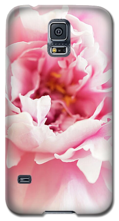 Pink Peony Galaxy S5 Case featuring the photograph Pink Peony 2 by Elena Nosyreva