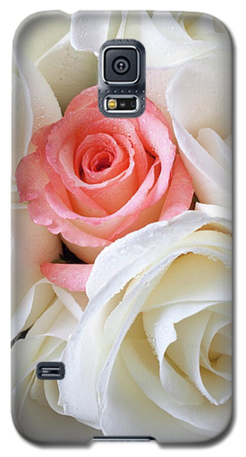 Pink Rose White Roses Galaxy S5 Case featuring the photograph Pink rose among white roses by Garry Gay