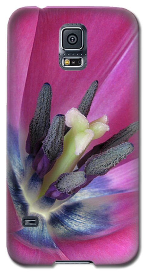 Close Up Galaxy S5 Case featuring the photograph Pink Tulip Stamens by David and Carol Kelly