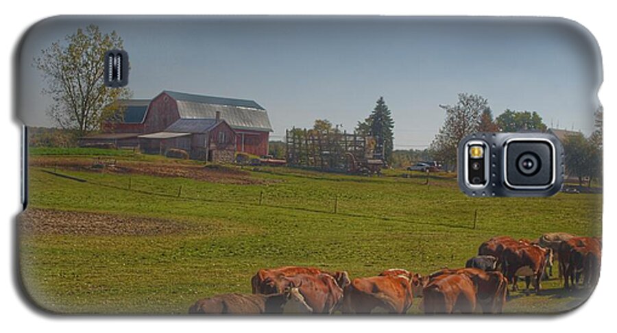 Cows Galaxy S5 Case featuring the photograph 1014 - Plain Road Farm and Cows I by Sheryl L Sutter