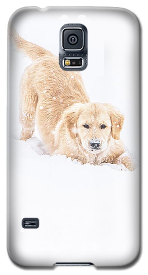 Playful Galaxy S5 Case featuring the photograph Playful Puppy In So Much Snow by Jennifer Grossnickle