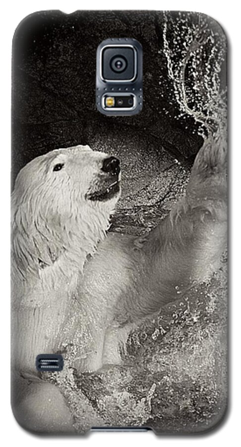 Polar Bear Galaxy S5 Case featuring the photograph Playtime by Jessica Brawley