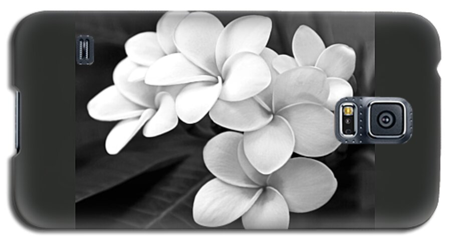 Plumeria Galaxy S5 Case featuring the photograph Plumeria - Black and White by Kerri Ligatich