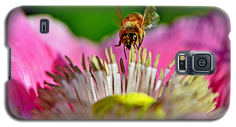 Macro Galaxy S5 Case featuring the photograph Poppy And A Bee 006 by George Bostian