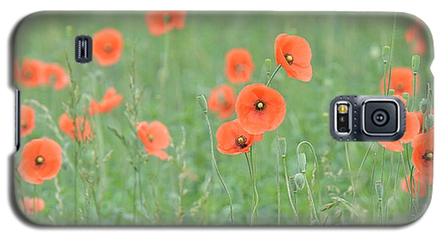 Wildflower Galaxy S5 Case featuring the photograph Poppy Field by Alan Lenk