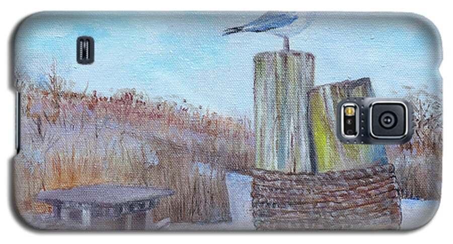 Seagull Galaxy S5 Case featuring the painting Port St. Joe by Kathy Knopp