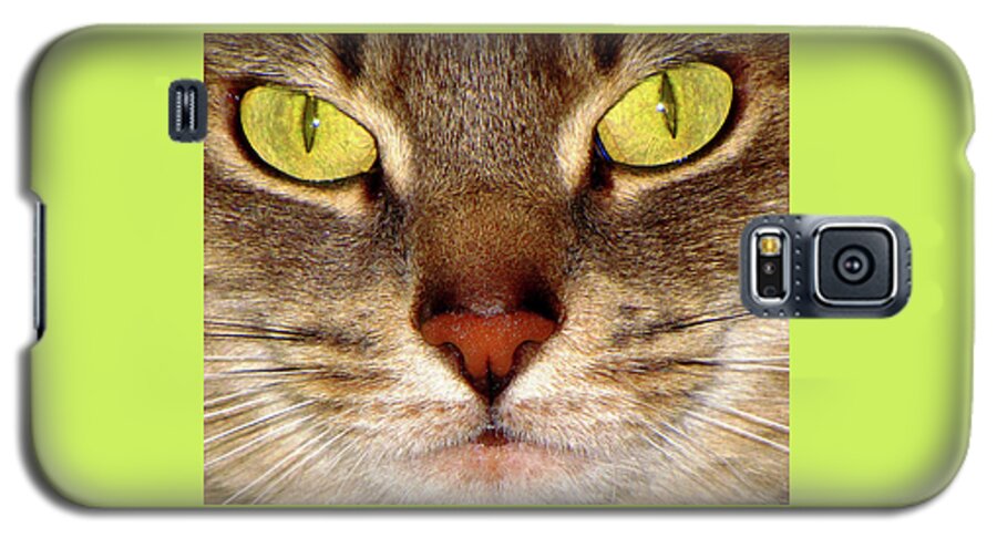 Cat Galaxy S5 Case featuring the photograph Precious My Precious by Lori Lafargue