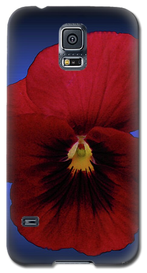 Flower Galaxy S5 Case featuring the photograph Pretty Pansy by Donna Brown