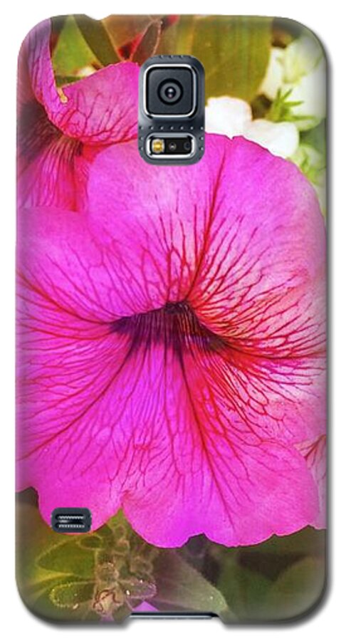 Pretty Pink Petunias Galaxy S5 Case featuring the photograph Pretty Pink Petunias by Femina Photo Art By Maggie
