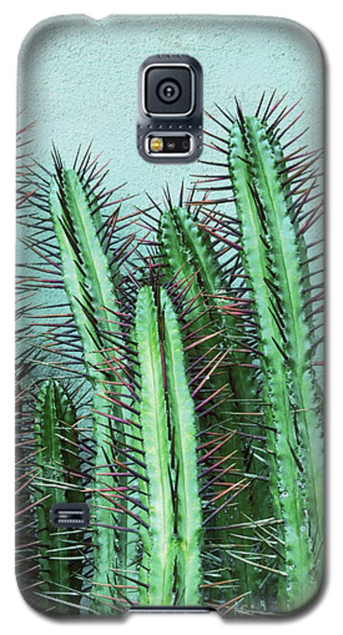 Prick Galaxy S5 Case featuring the mixed media Prick Cactus by Emanuela Carratoni