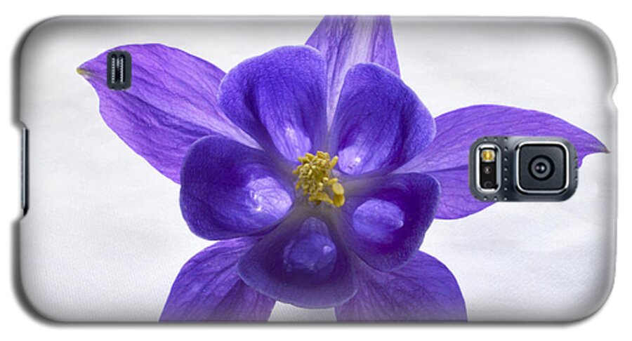  Columbine Galaxy S5 Case featuring the photograph Purple Columbine by Terence Davis