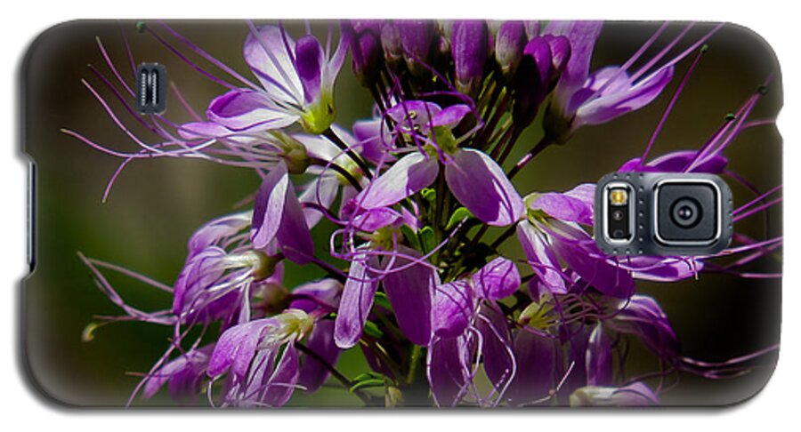 Nature Galaxy S5 Case featuring the photograph Purple Flower 1 by Christy Garavetto