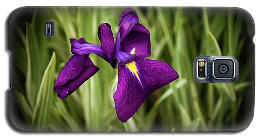 Purple Japanese Iris Galaxy S5 Case featuring the photograph Purple Japanese Iris by Joann Copeland-Paul