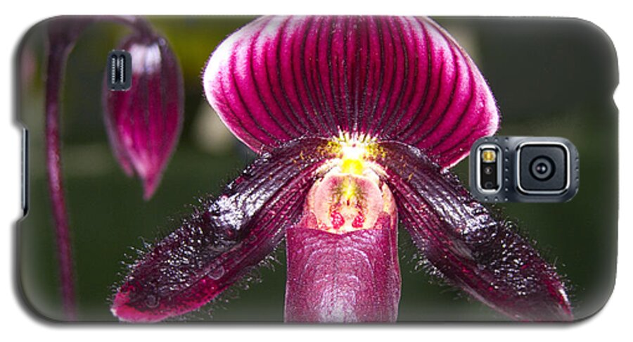 Flowers Galaxy S5 Case featuring the photograph Purple Orchid by Ann Tracy