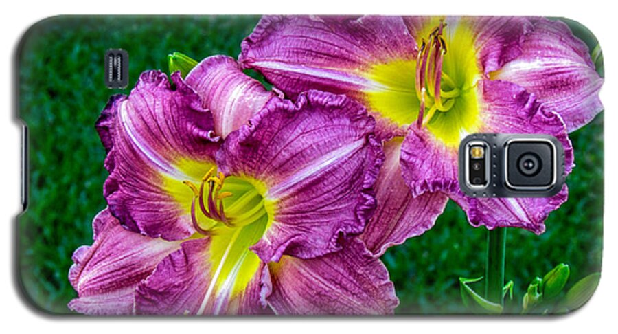 Flowers Galaxy S5 Case featuring the photograph Purple Pair by Nathan Little