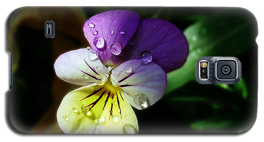 Flower Galaxy S5 Case featuring the photograph Purple Pansy by Anthony Jones